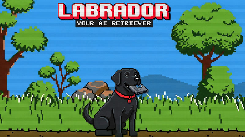 Labrador